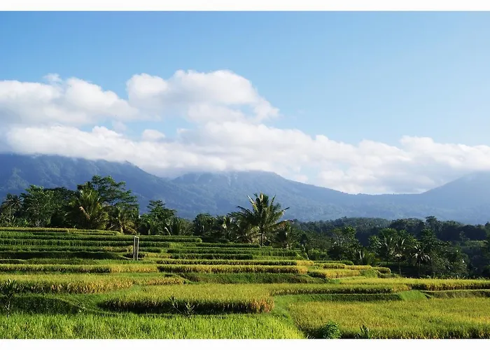 Ti Amo Bali ホリデーパーク