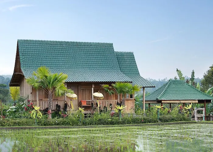 Ti Amo Bali
