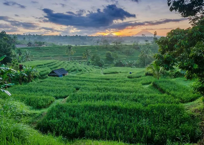 Ti Amo Bali 4*