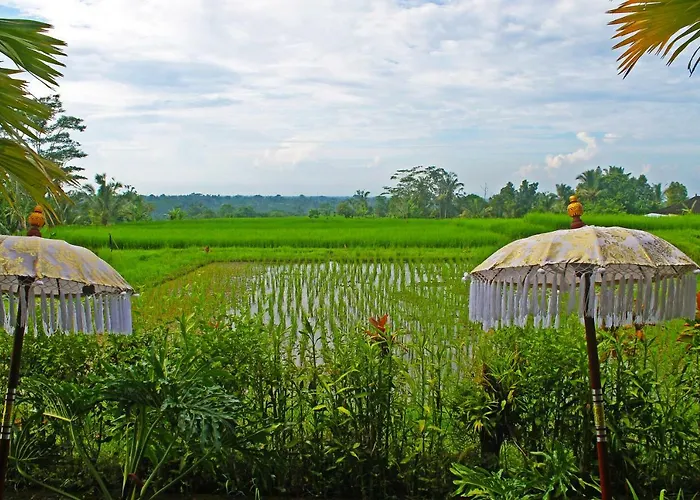 Ti Amo Bali